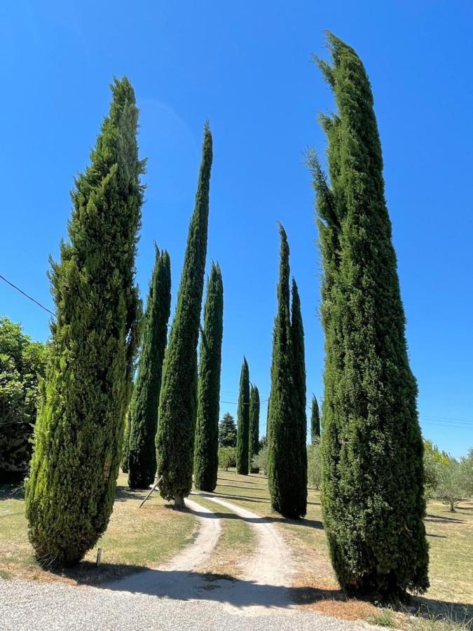 Des Perrines Pernes-les-Fontaines