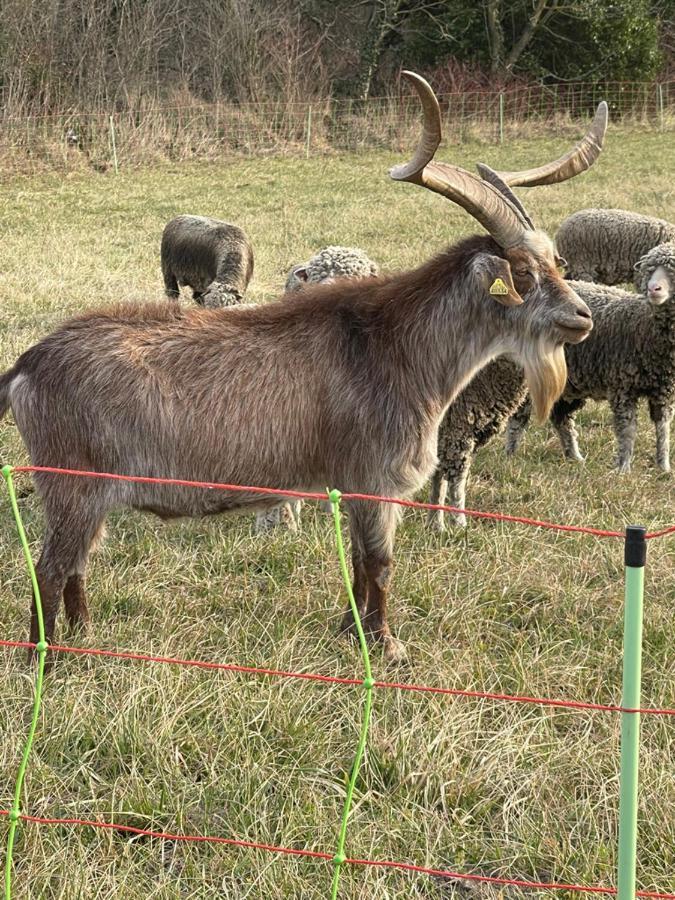 Des Perrines Gasthof *